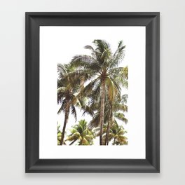 Miami Palm Trees | Landscape Photography | Coastal | Nature | Ocean | Summer | Travel Framed Art Print