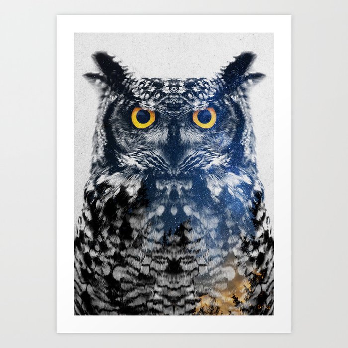 Discover the motif NIGHT OWL by Andreas Lie  as a print at TOPPOSTER
