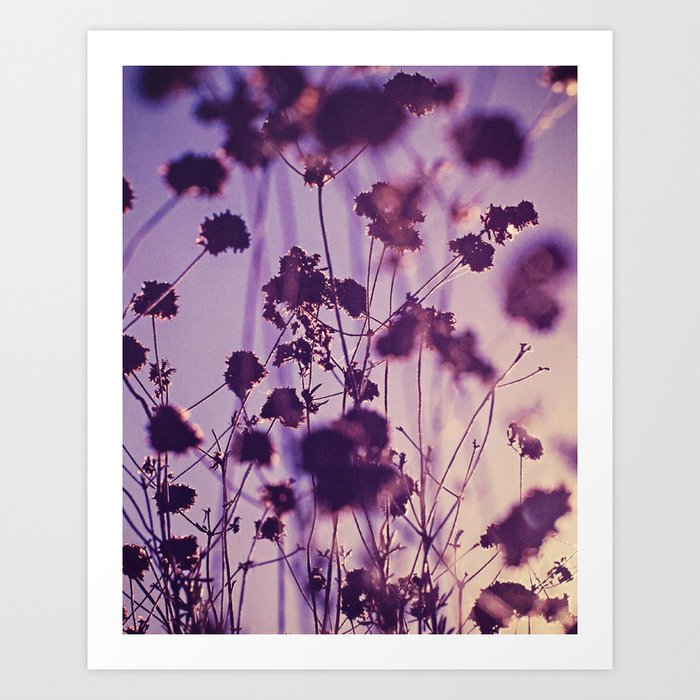 Purple Abstract Flowers Fine Art Photography Art Print