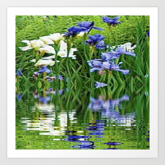 BLUE & WHITE IRIS WATER REFLECTION ART Art Print