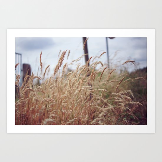 Grass Art Print