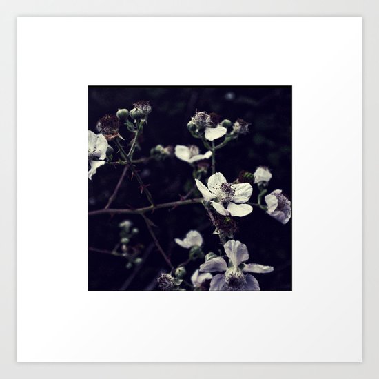 Blackberry Bush Art Print