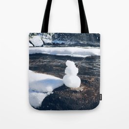 Winter Wonder Tote Bag