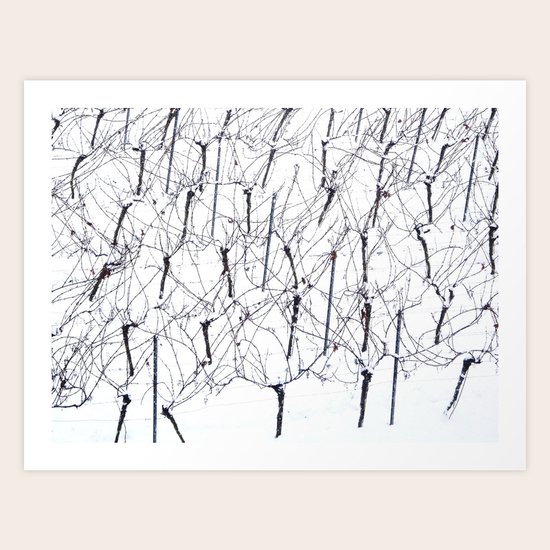 Nr. 350 Art Print