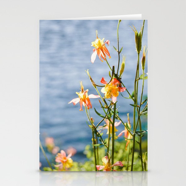 Idaho Columbine Wildflower - Nature Photography Stationery Cards