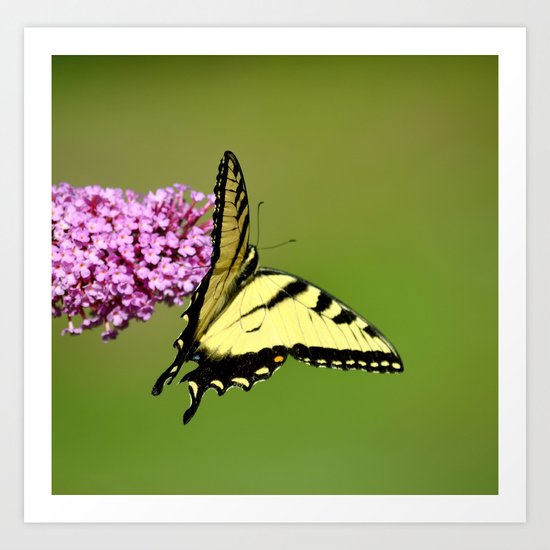 Nature Does Not Intrude II Art Print