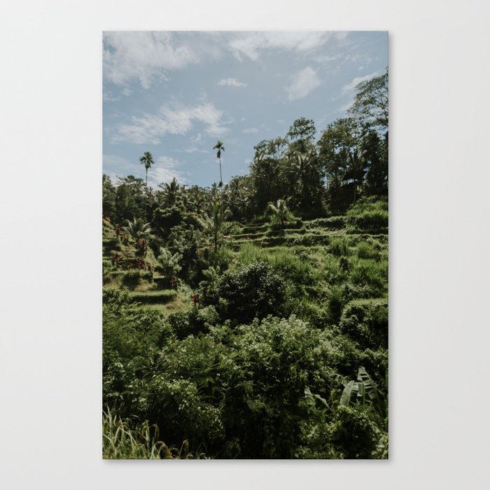 Rice fields - Ubud - Bali Canvas Print