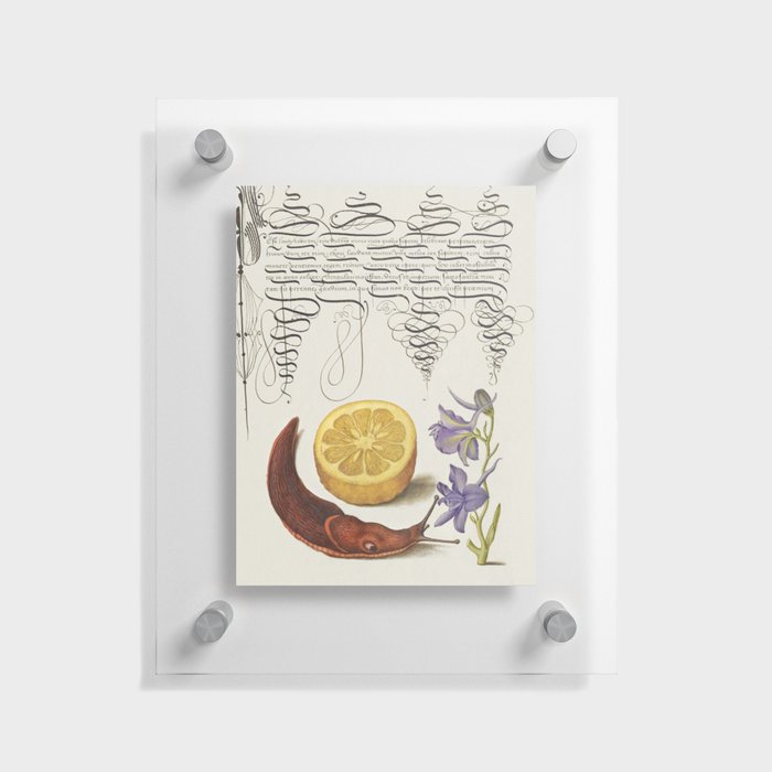 Calligraphic slug and flowers poster Floating Acrylic Print