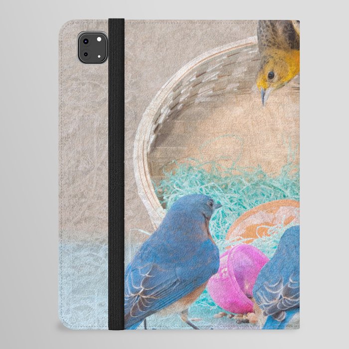 Colorful Birds & eggs iPad Folio Case