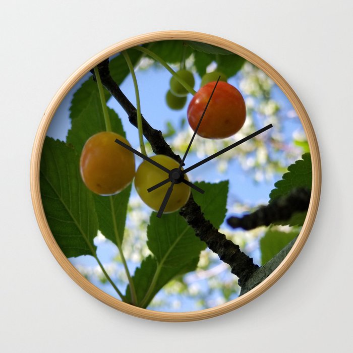 First Blush--Ripening Cherries Wall Clock