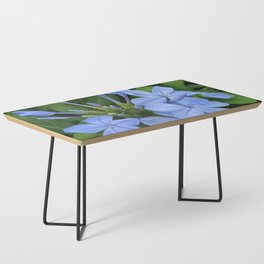 Periwinkle  Coffee Table