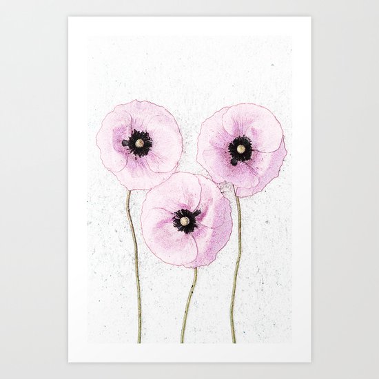 Delicate Poppies Art Print