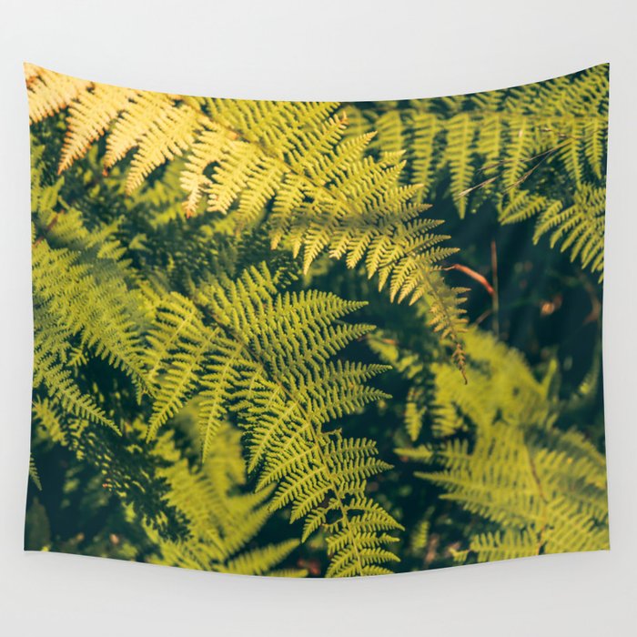 A green fern plants background with shadows.  Wall Tapestry
