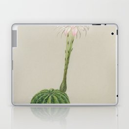 Easter Lily Cactus Laptop Skin
