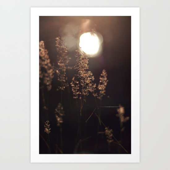 Sunbeam Art Print