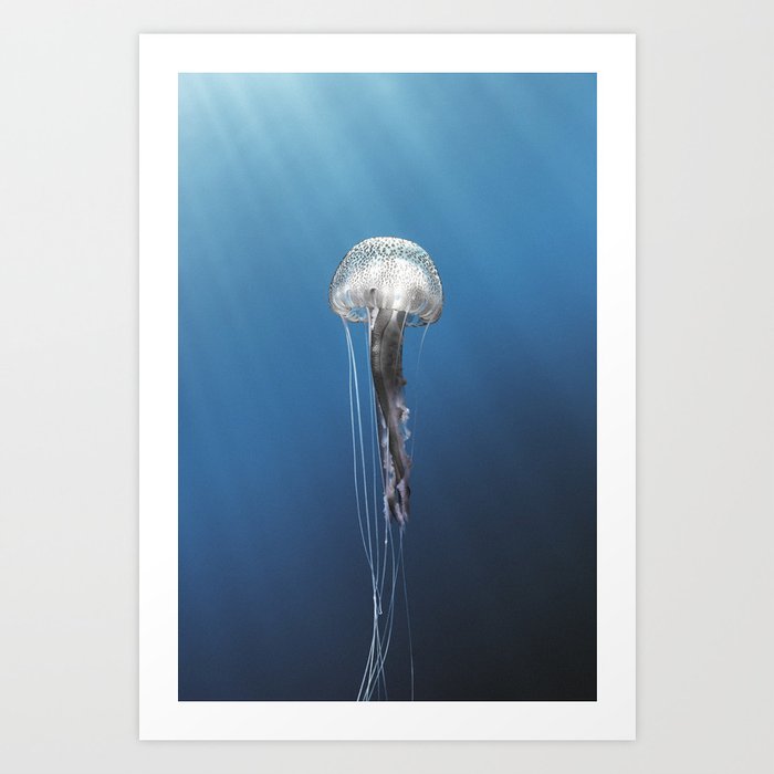 Jellyfish 210505-7907 Art Print