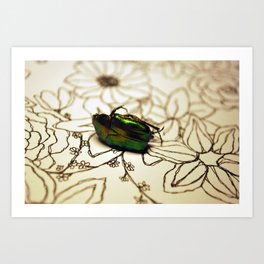 Beetle. Art Print