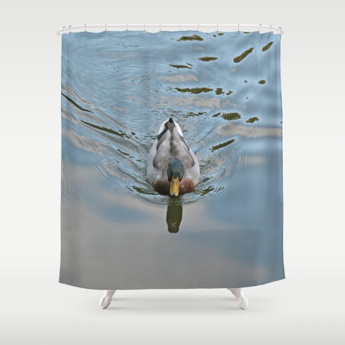Mallard Duck Swimming In A Turquoise Lake 2 Shower Curtain By