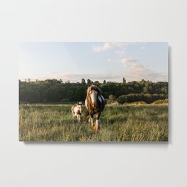 Horse and Foal Metal Print