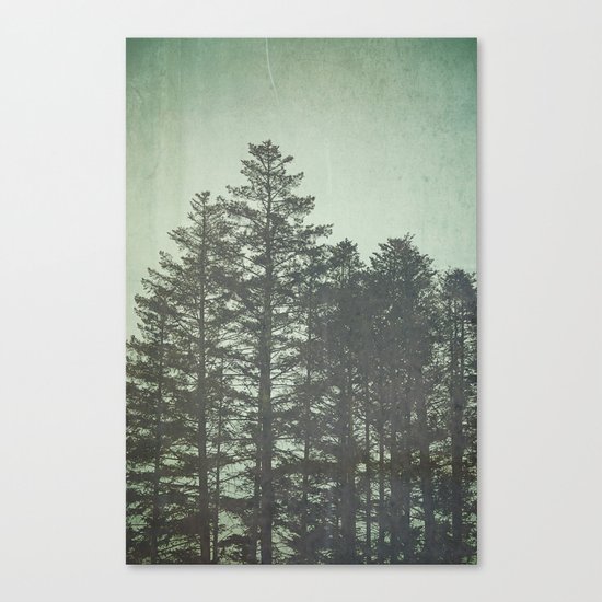 Trees in Fog Canvas Print