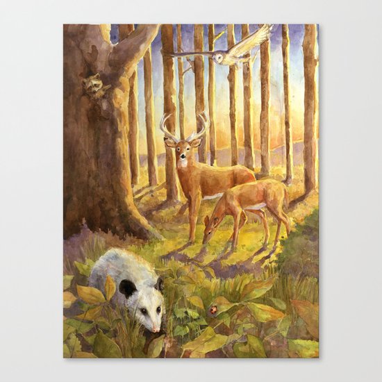 Forest Scene Canvas Print
