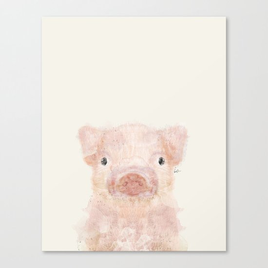 little piggy Canvas Print