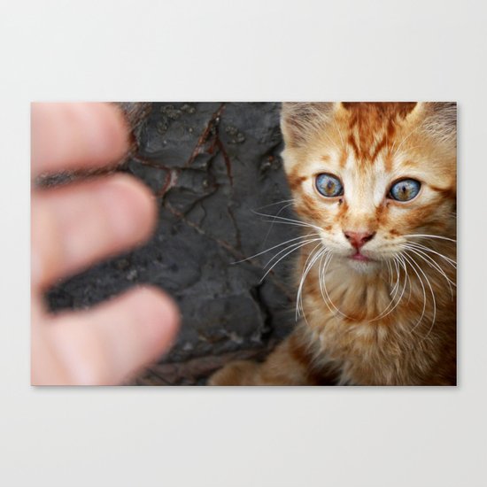 cat Canvas Print