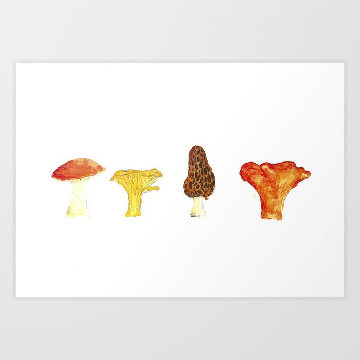 Mushroom Season Chart