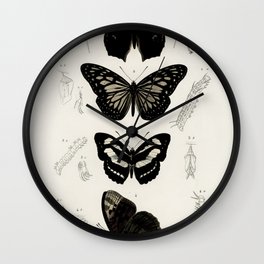 Collection of Butterflies Wall Clock