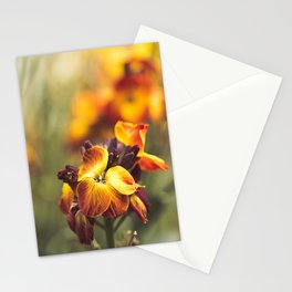 Vibrant Matthiola incana flowers Stationery Cards