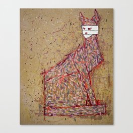 Bandaged cat Canvas Print