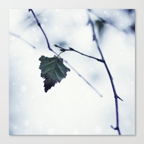 The last leaf Canvas Print