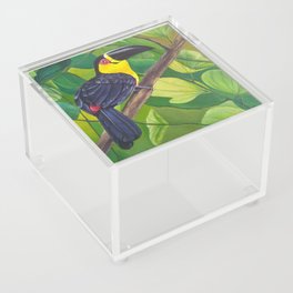 Tucan Acrylic Box