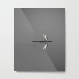 Egret Bird Art by Murray Bolesta! "Mirrored Egret"  Metal Print