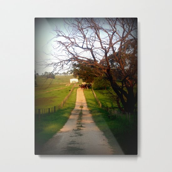 Herding Cattle Metal Print