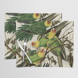 Carolina Parrot - John James Audubon's Birds of America Print Placemat