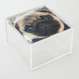 Cutest Pug Ever Acrylic Box