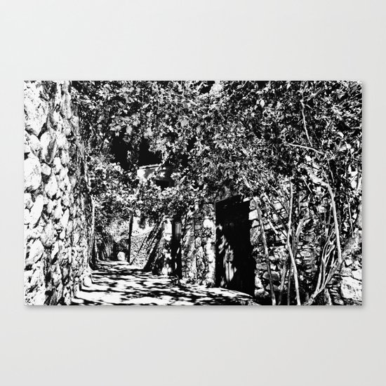 Disturb II Canvas Print