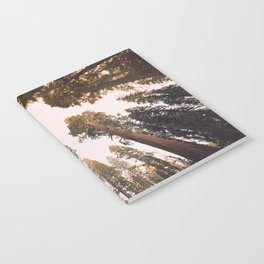 Sequoia Sunset Notebook