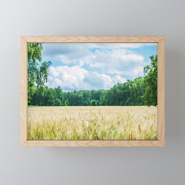 Gold wheat field  Framed Mini Art Print