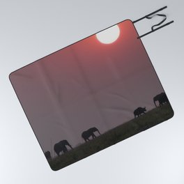 South Africa Photography - Elephants Walking In The Sunset Picnic Blanket