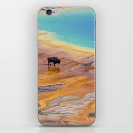 Bison and Grand Prismatic Hot Spring at Yellowstone National Park iPhone Skin