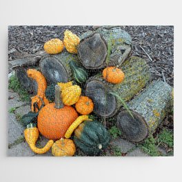 Pumpkin and Gourds by the Applewood Pile Jigsaw Puzzle