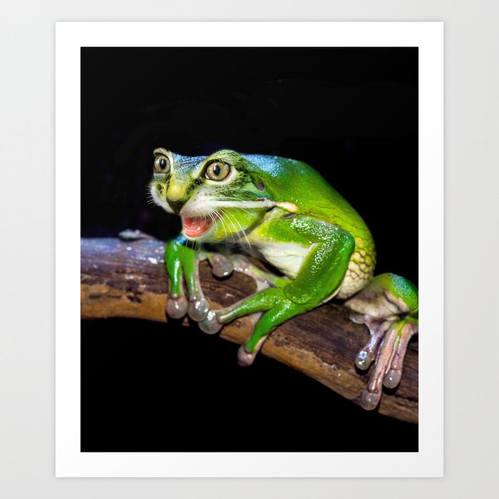 Art Print