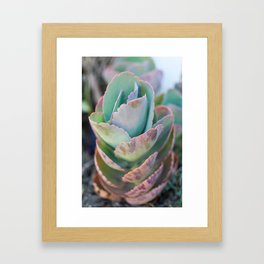 Soft ucculent Tower Framed Art Print