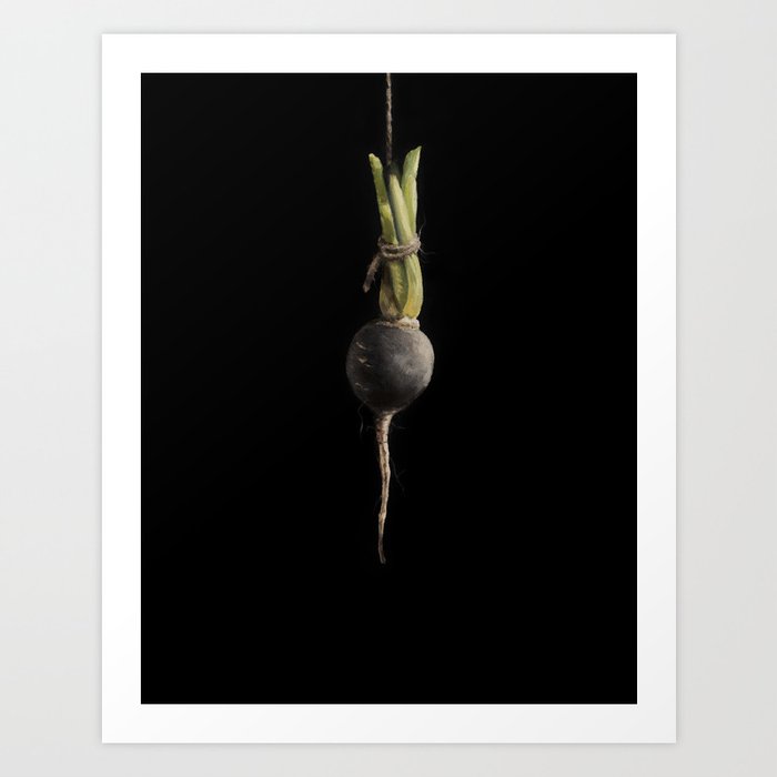 Vegetable Vanitas: The Beet Painting by Brooke Figer Art Print