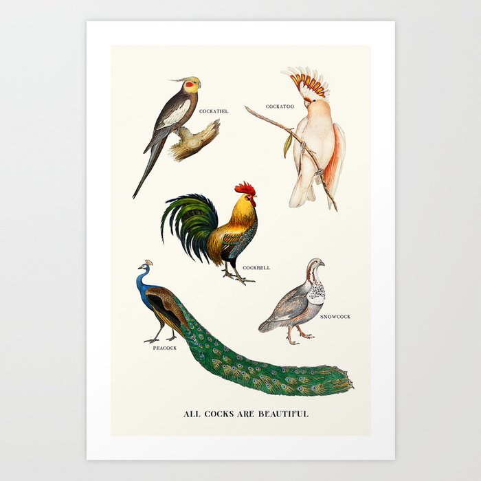 All Cocks Are Beautiful Art Print