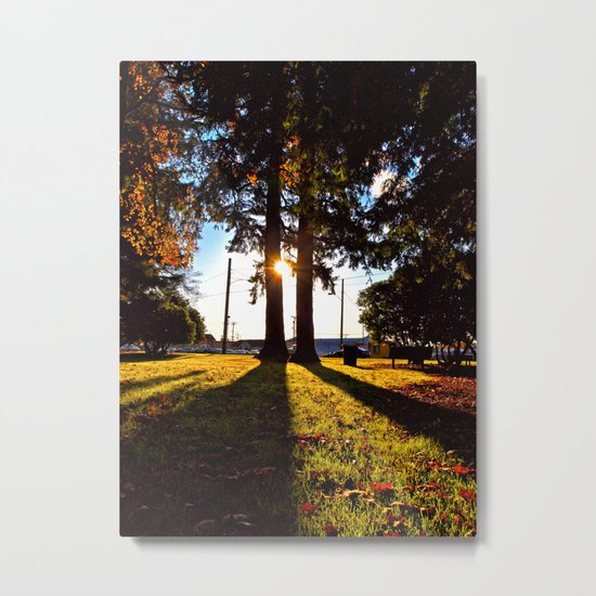 Autumn afternoon Metal Print