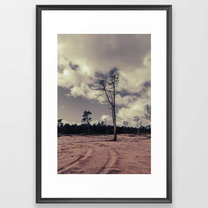 Lonely pinetree Framed Art Print
