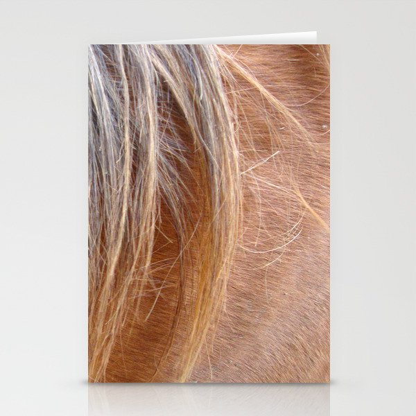 Horse Hair Stationery Cards